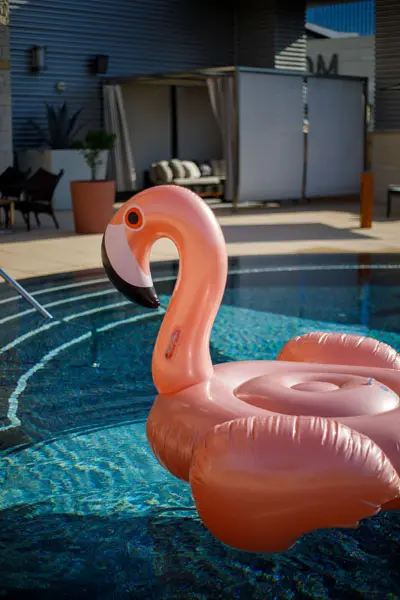 Pink Flamingo - Archer Hotel Austin