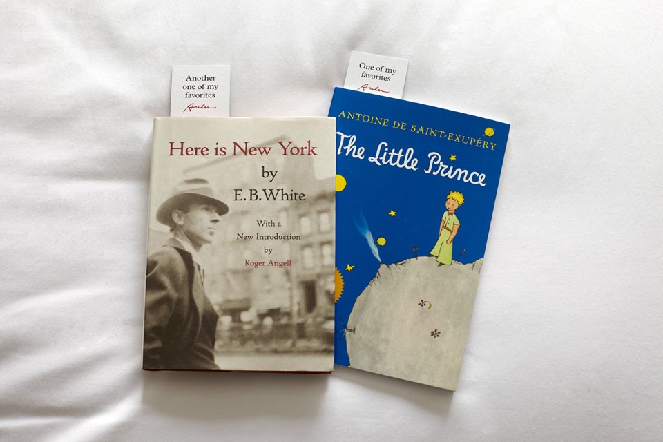 Two New York-inspired books on white bedding