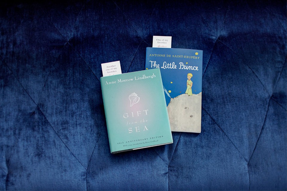 Two New Jersey-inspired books on blue sofa
