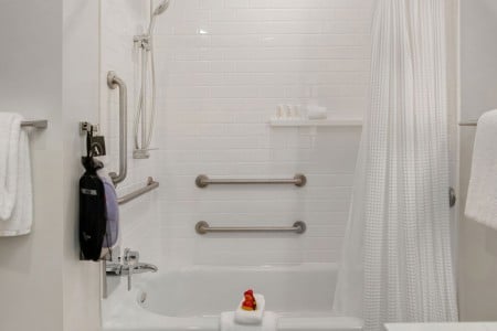 Classic King - mobility-accessible tub with grab bars and hand-held shower wand