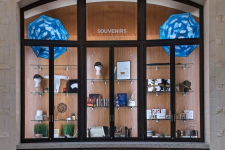 Curated souvenir cabinet lit up
