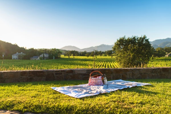Picnic Basket on the blanket with view on grape vines 