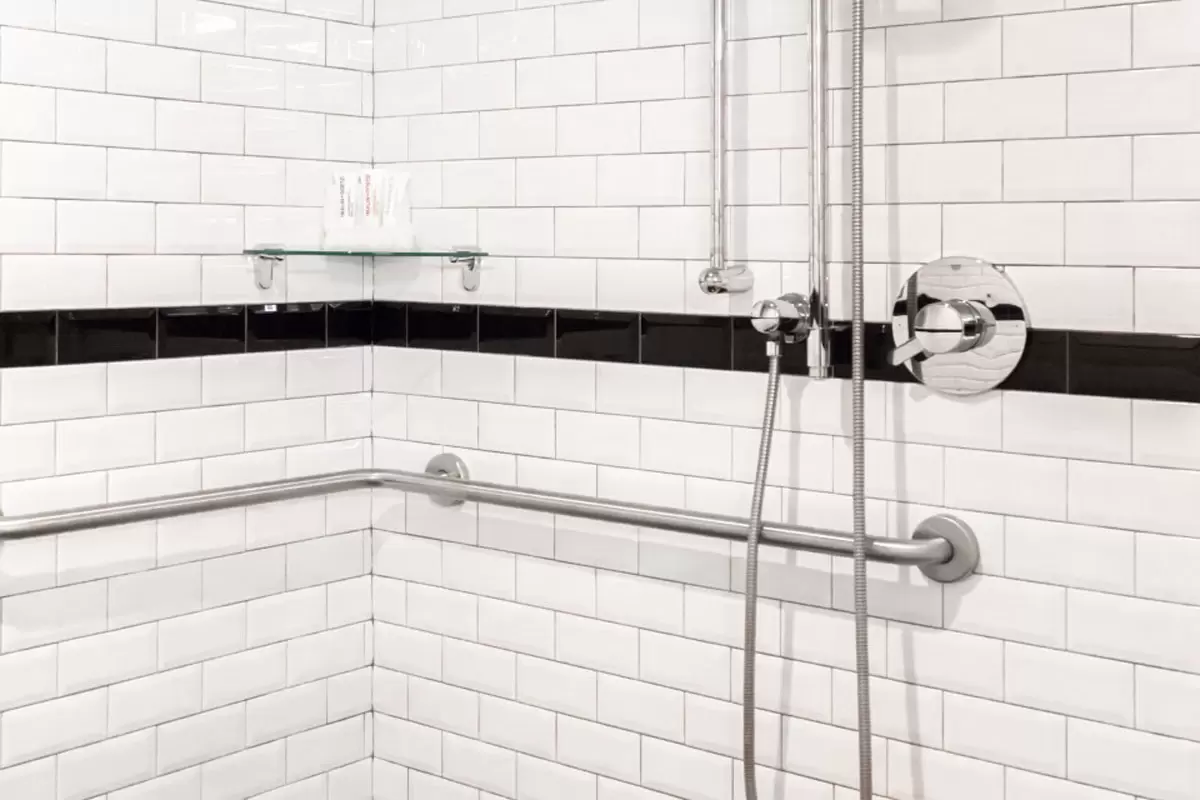 Double Double - mobility-accessible roll-in shower with grab bars and hand-held shower wand