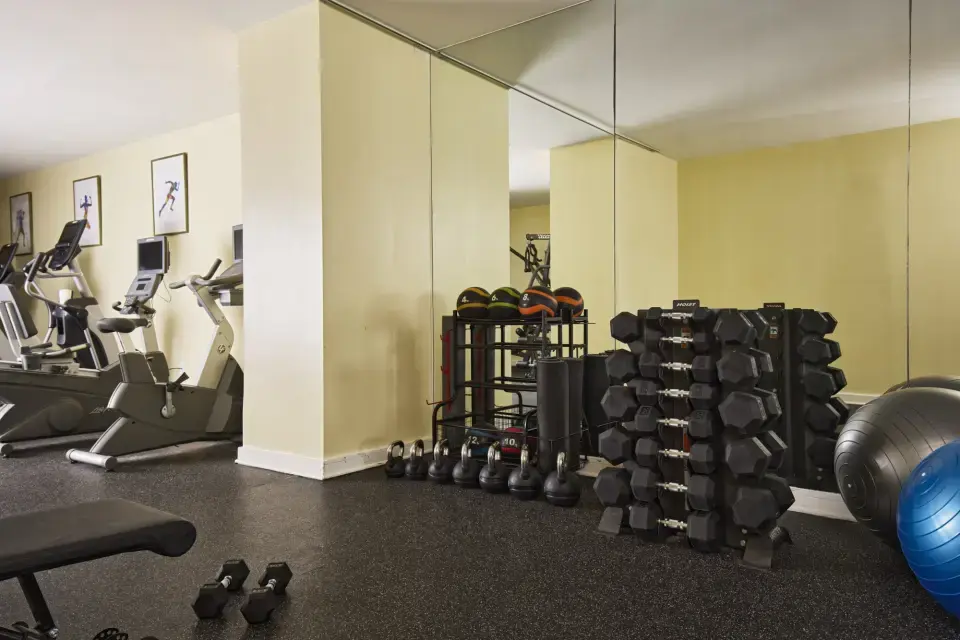 Fitness Studio - free weight corner featuring a vertical dumbbell rack, kettlebells and medicine balls in front of a mirrored wall