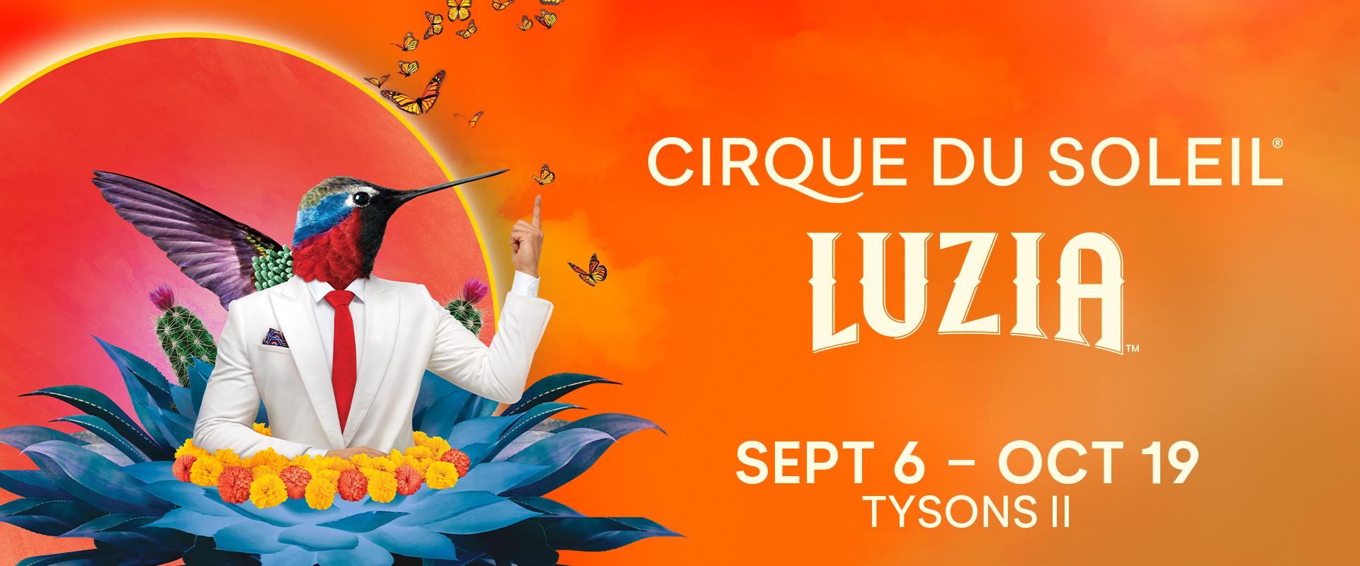 Cirque du Soliel's LUZIA package available at Archer Hotel Tysons